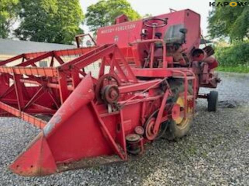 Massey Ferguson Mejetærsker 87 1