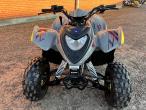 Polaris Phoenix 200 ATV 2