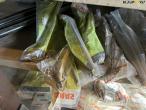 Claas spare parts - new 205