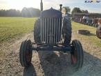 Fordson Major (Klodsmajor) tractor 2