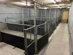 Stable equipment for pigs 3