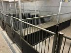 Stable equipment for pigs 5