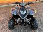 Polaris Phoenix 200 ATV 2